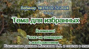 Железов Валерий. Вебинар 316. ч.5.  Тема для избранных. Внимание! Голос не совпадает с изображением.