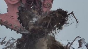 Корчеватель пней "Кукан"