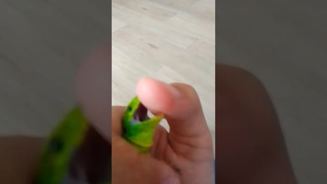 meme  с соей ящеркой