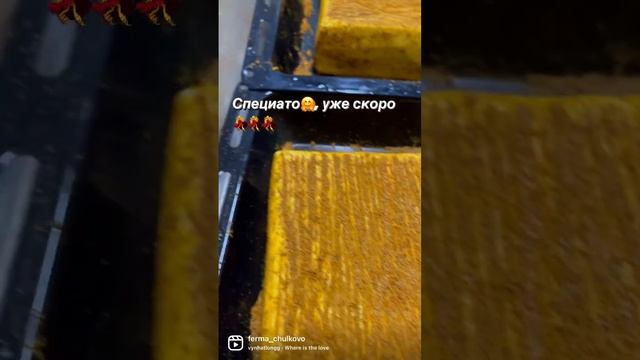 Сыр Сливочный 50% бзмж - купить в интернет-магазине по низкой цене на Яндекс Мар