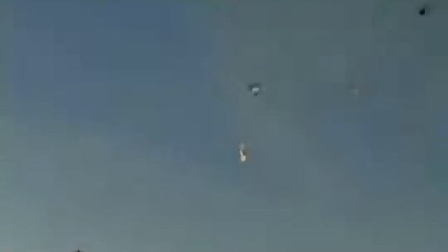 Охота на утку в засаде