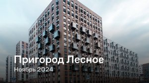 «Пригород Лесное» / Ноябрь 2024