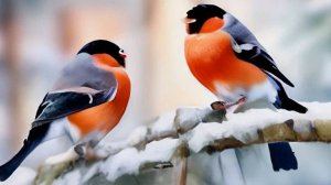 Реальная история - Невидимый мир общения...