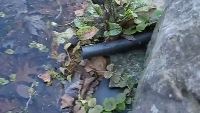 The best rain barrel I have ever seen-and affordable смотреть онлайн