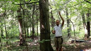 Какие бывают варианты самосброса веревок?