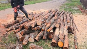 Работа бензопилой Oleo-mac GS650. Шина и цепь орегон. Дрова - сырая ольха