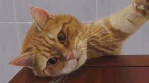 © Кот Кузя. 13.01.2021