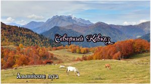 Абхазия – самые красивые и интересные места (из нашего архива).