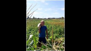 Родники Отчизны