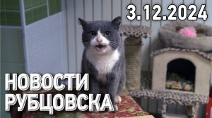 Новости Рубцовска (03.12.2024)