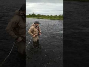 Ловля Хариуса.На Кольском полуострове