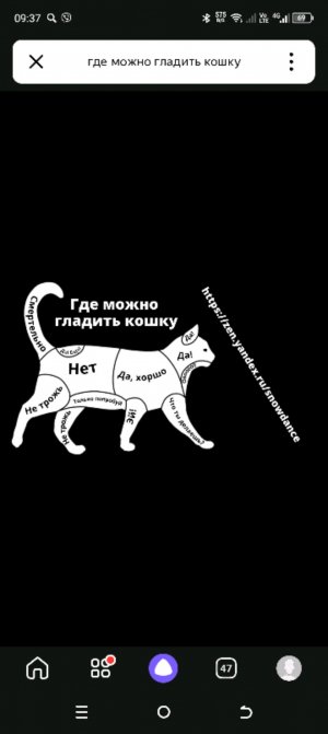 где кошка довольна а где нет