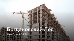 «Богдановский Лес» / Ноябрь 2024