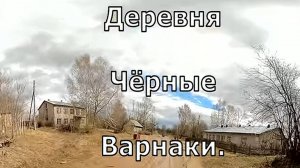 2) деревня Чёрные Варнаки. Нолинский район. Вятка.
