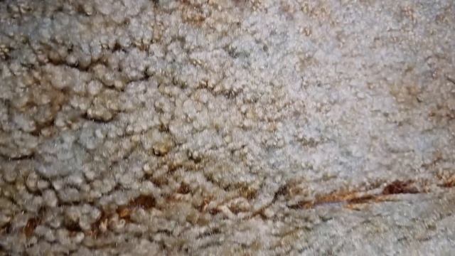 Что выбрасывают немцы на улицу🇩🇪Шпермюль в Германии