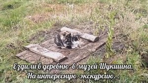 Осенний  лагерь  в  Бийске 
 с  26 октября по 1 ноября  2024 г.