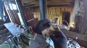 ТАКОГО Я ЕЩЁ НЕ ВИДЕЛ! В брошенных домах вся ИСТОРИЯ ПОСЛЕДНИХ ЖИТЕЛЕЙ! Заброшенные деревни России