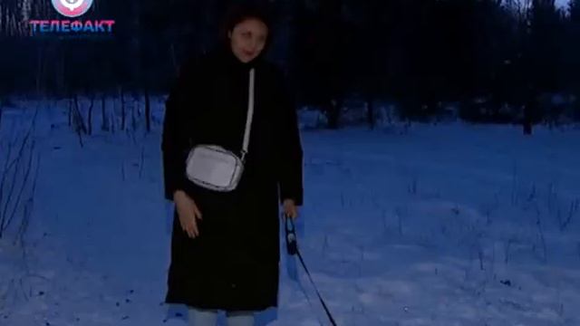 Телефакт от 06 12 2018