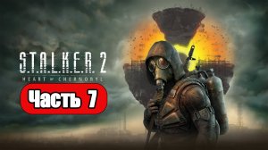 STALKER 2 Heart of Chornobyl - Геймплей Прохождение Часть 7 (без комментариев, PC)