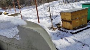 зимовка продолжается