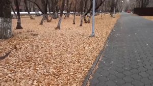 Либо твоя мать съезжает, либо я подаю на развод – сказала жена, поставив мужа перед выбором