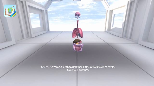 Організм людини як біологічна систама смотреть онлайн