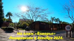 На пляж "Взморье", Лазаревское в декабре 2024г.