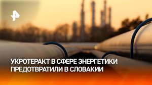 Из Словакии выслали украинца, который готовил теракт на объекте энергетической инфраструктуры / РЕН