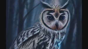 © Совушка. 20.12.2020