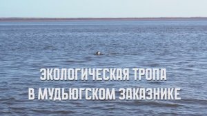 Экотропа Мудьюг