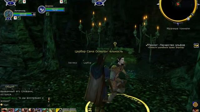 Властелин колец онлайн прохождение за эльфа серия 2 смотреть онлайн