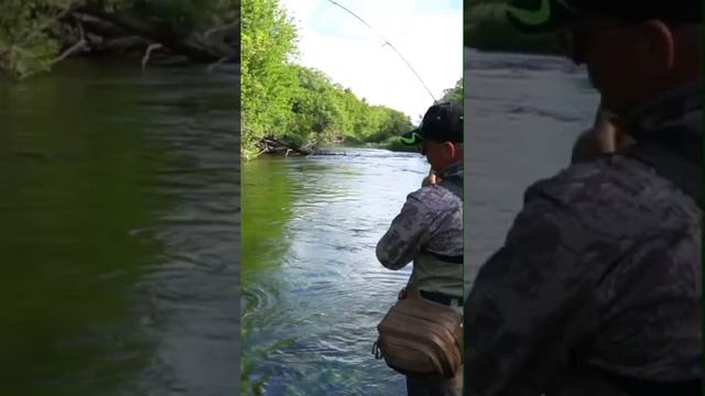 Chubby 41 SR в деле! #fishing #chubby41sr #chubby
