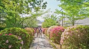 Пешеходная экскурсия по Киото, Япония