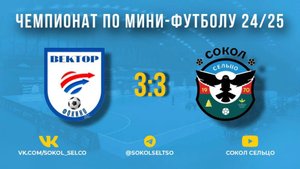 "Вектор" (Фокино) — "Сокол" (Сельцо) 1.12.24 обзор матча