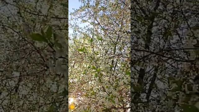 Я это точно знаю 👆Я умирала .......