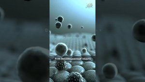 Масло Расторопши. Польза и Вред для Печени и Желчного Пузыря