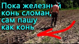 Меняем задний мост Фронтеры. Бороню картофельное поле.