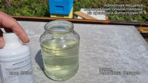 Выращивание сенной палочки на магнитной мешалке. Тест препаратов Бактоген, Фитоспарин-М, Profit
