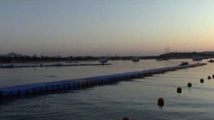 Египет, Шарм эль Шейх, отель Marina Sharm Hotel