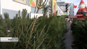 70 елочных базаров заработают в Волгограде
