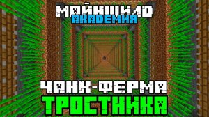 #3  Ферма Тростника На Весь Чанк На Майншилд Академии | Майкрафт Выживание Без Модов | Пират Кирка