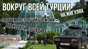 Из Турции в Грузию на ЖИГУЛЯХ! Напало стадо диких лошадей в Боржоми! Два предупредительных в голову