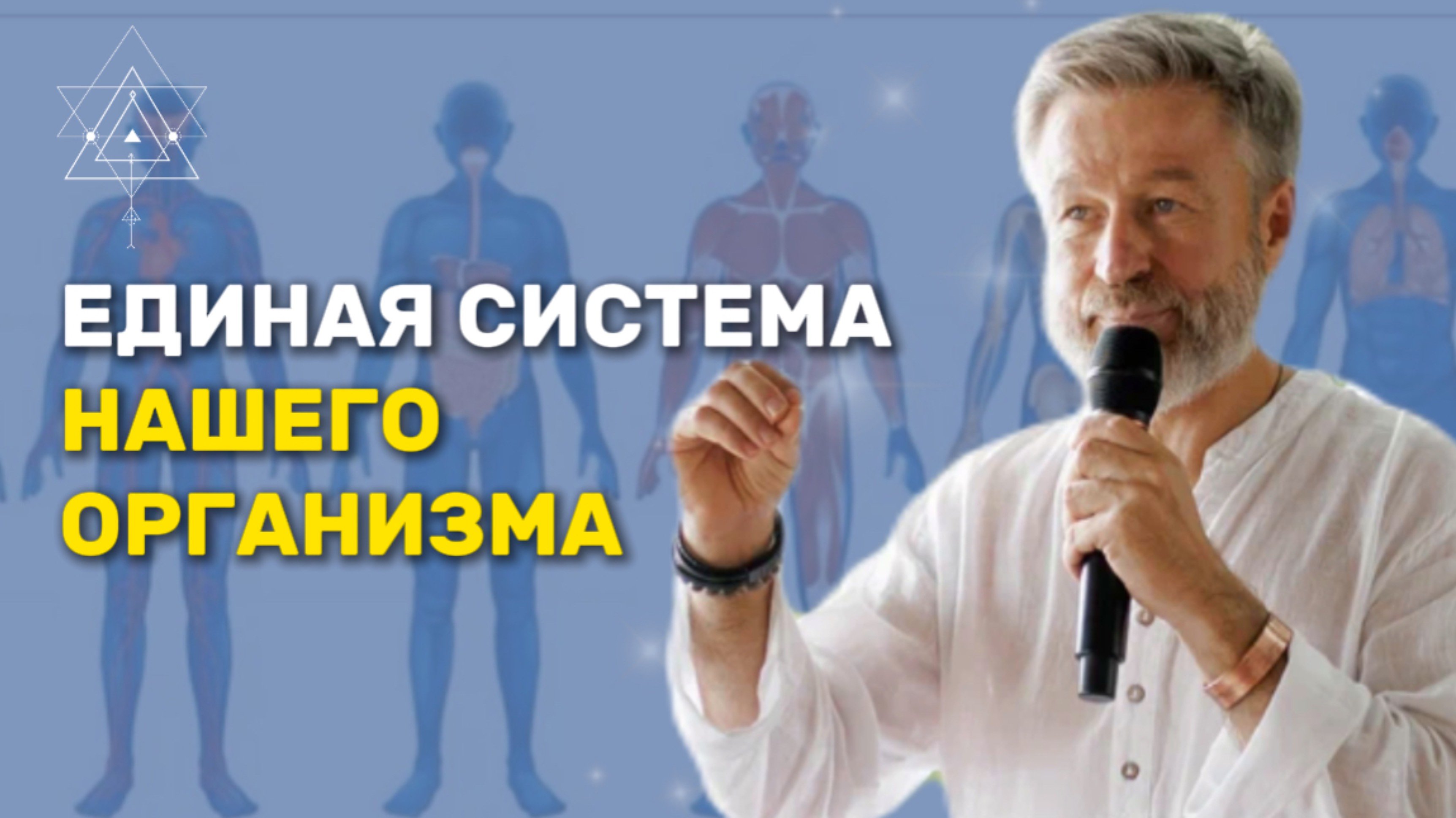 4 вида ума: единая система организма