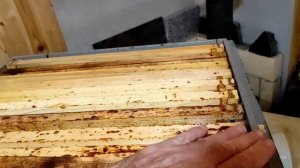 научите работать с многокорпусными ульями