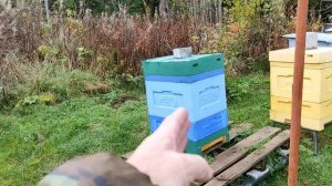 в разных ульях пчелы готовятся к зиме по разному. к теме про ульи ппу.