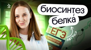 ✏️ РЕШАЕМ ЗАДАЧИ на БИОСИНТЕЗ БЕЛКА 27 линия (2 часть) ЕГЭ по биологии