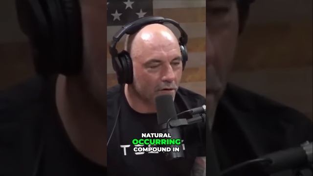 Unlocking the Secrets of Psychedelics :The Profound Human Brain Experience #jre #podcast #interview смотреть онлайн