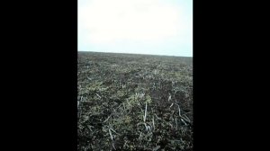 Самодельная ракета с камерой на борту