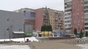 В Заволжском районе начали устанавливать новогоднюю ель