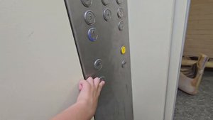 🌍Санкт-Петербург! ✨️Новые лифты Невский лифт(МЛМ-2023): 400, 630 кг, 1 м/с.